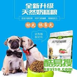 聊城老板貓狗糧生意暴賺230億身家的成功策略分析