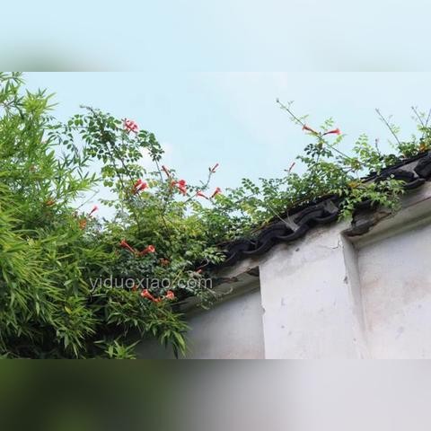 大眾對攀巖運動的誤解案例研究