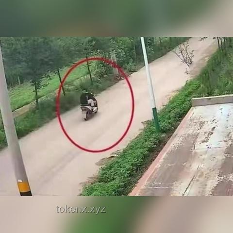 宿遷市體育局致歉事件解析，了解體育管理與球迷關(guān)系