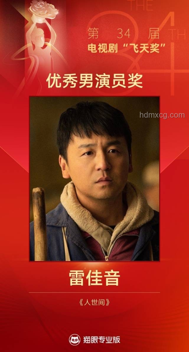 靳東白玉蘭最佳男主角獎榮譽解析