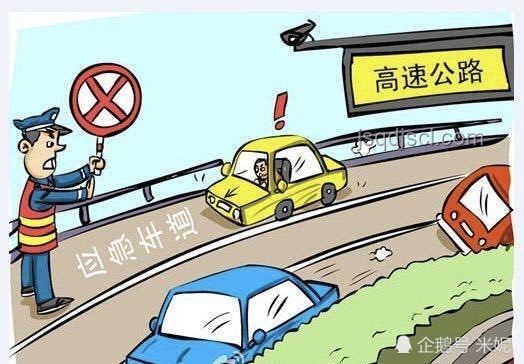 毒駕致命事故與保釋期間悲劇：法律與道德的警示