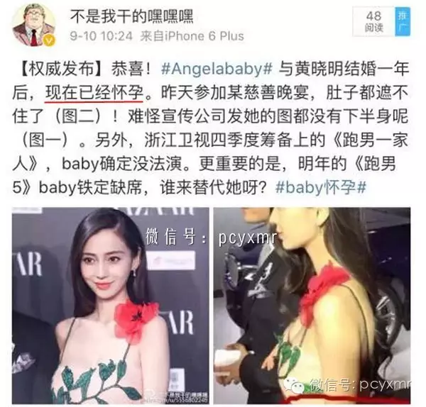 楊采鈺孕事引發(fā)熱議：明星隱私與公眾關(guān)注平衡點探索