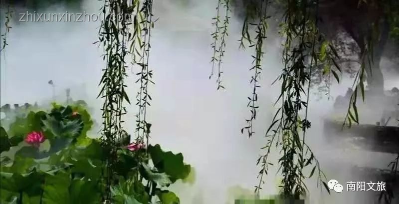 白玉蘭下的成長印記??：我與園藝的不解之緣