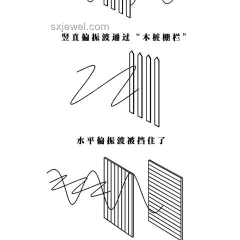 看了那么多科普，還是不懂量子？這次一定教會你！