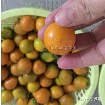 昂貴卻非營養(yǎng)首選的水果揭秘