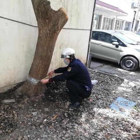 公共場(chǎng)所故意裸露身體隱私部位處罰深度分析