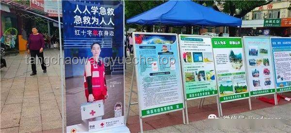 嬰兒奇遇記：蟑螂誤食下的緊急創(chuàng)新救援