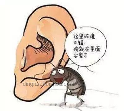 嬰兒急救新思維：蟑螂誤食下的快速應變與跨界啟示