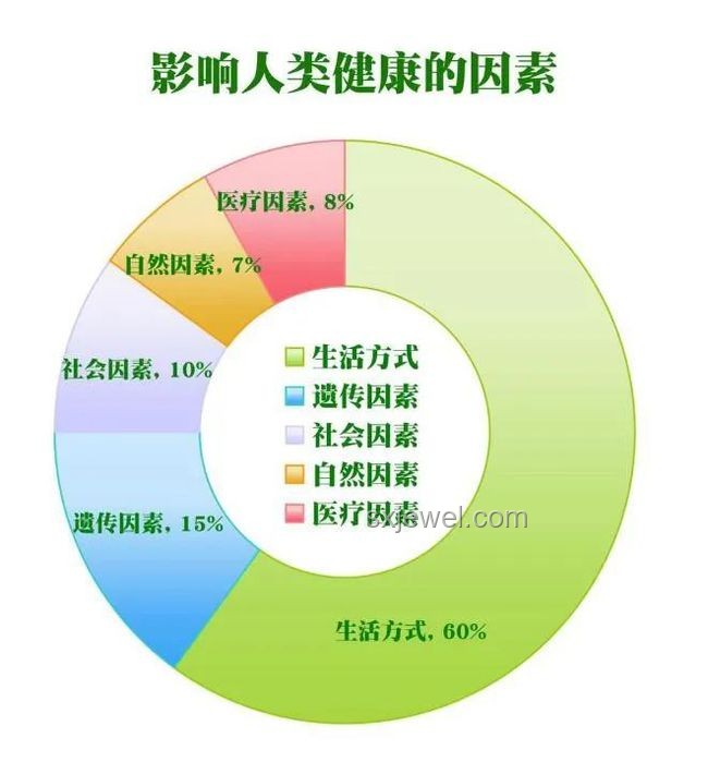 “人類飼料”代餐狂銷背后：健康與效率的權(quán)衡