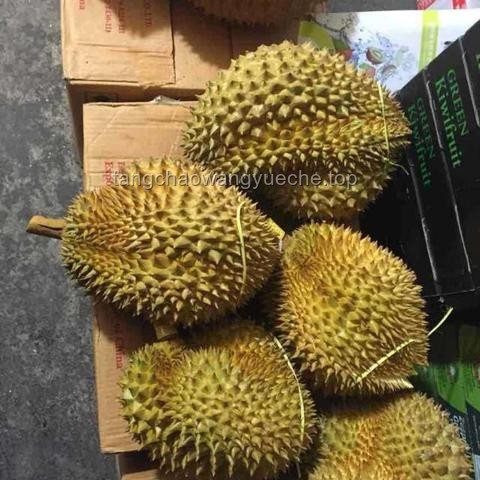 原來榴蓮還有紅色的果肉，探索榴蓮的奇妙世界