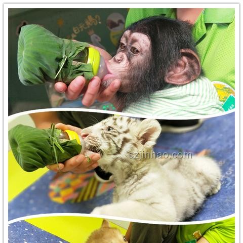 動物園規(guī)則與人情平衡洞察：嬰兒喝奶被趕事件解析