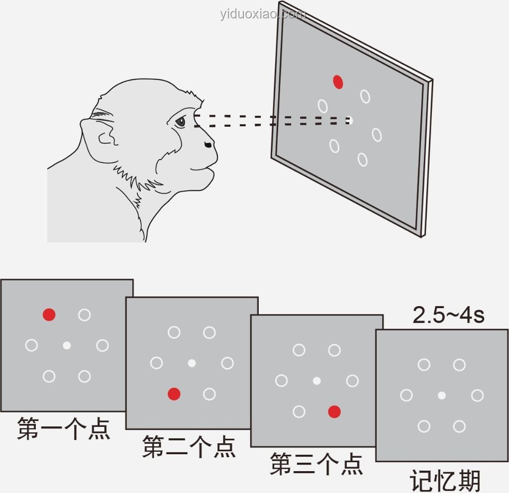 高維少樣本數(shù)據(jù)降維方法對(duì)比分析：PCA vs t-SNE vs Autoencoders vs LLE