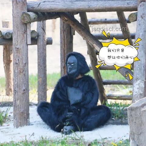 動物園門票違規(guī)收費(fèi)解決方案