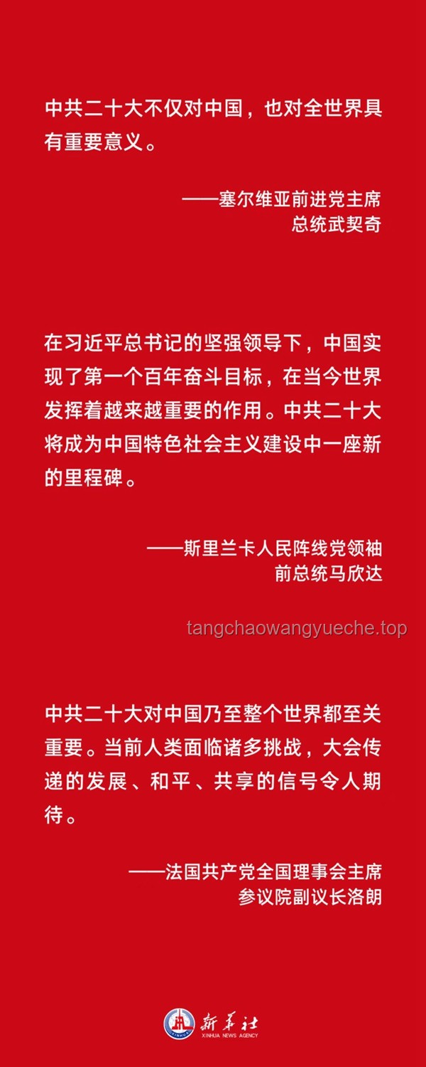 武契奇宣布：塞爾維亞勝利背后的意義與啟示