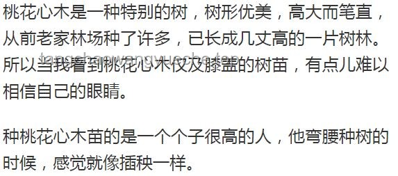 作家文章入選考試題卻失誤：文學(xué)評(píng)價(jià)與教育反思