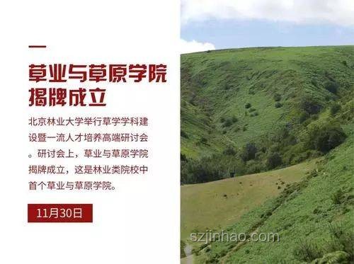 十年前冷門專業(yè)，如今翻紅成熱門