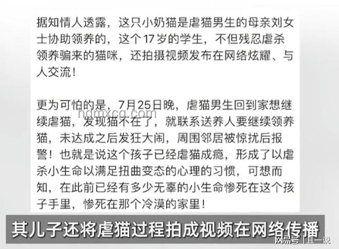 虐貓事件引發(fā)招聘變革：道德審查趨勢強(qiáng)化
