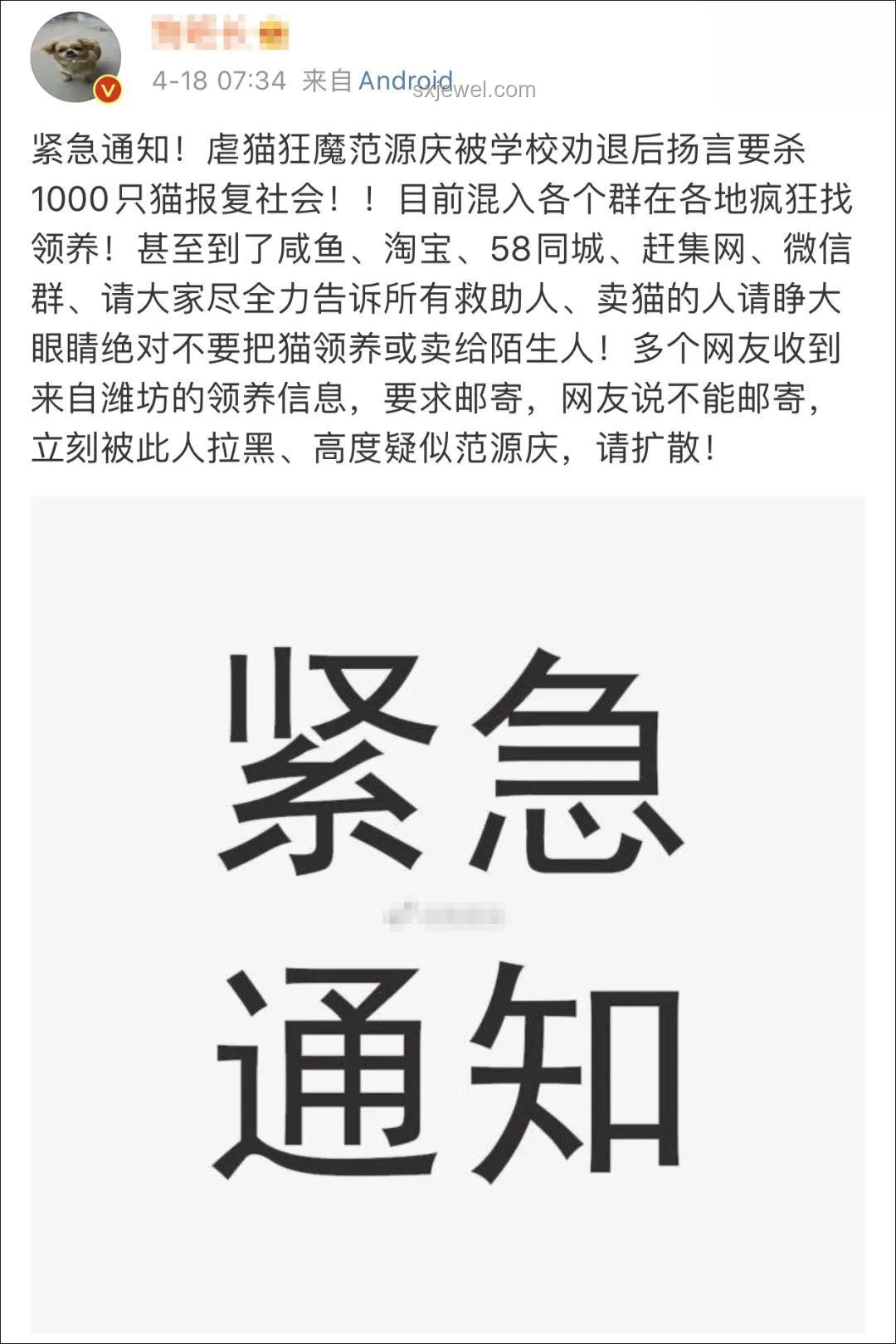 虐貓事件頻發(fā)，未來招聘資格審核將趨嚴