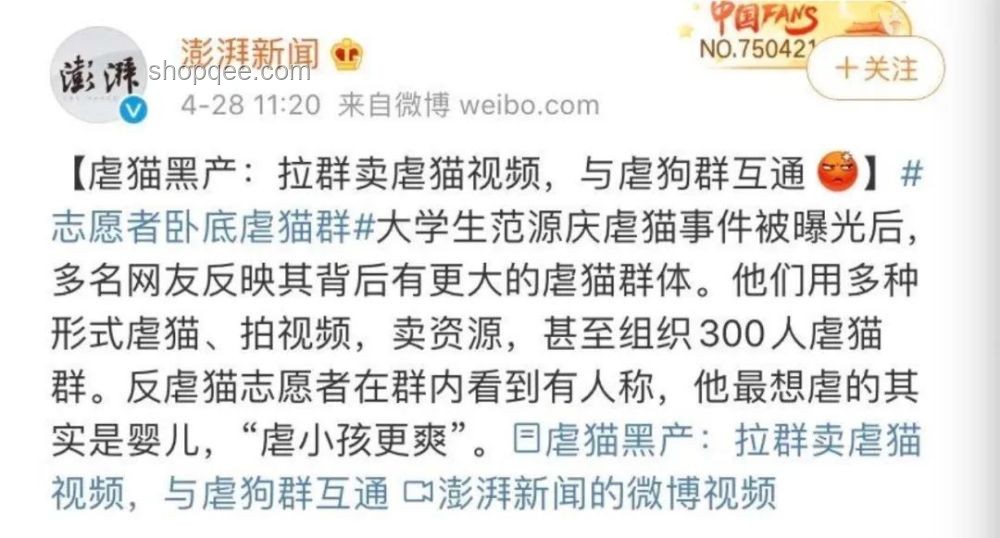 虐貓考生被取消招聘資格：如何避免職場(chǎng)道德爭議