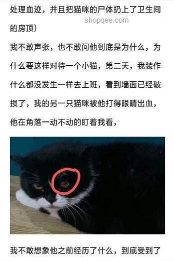 虐貓考生被取消招聘資格：如何避免職場(chǎng)道德爭議