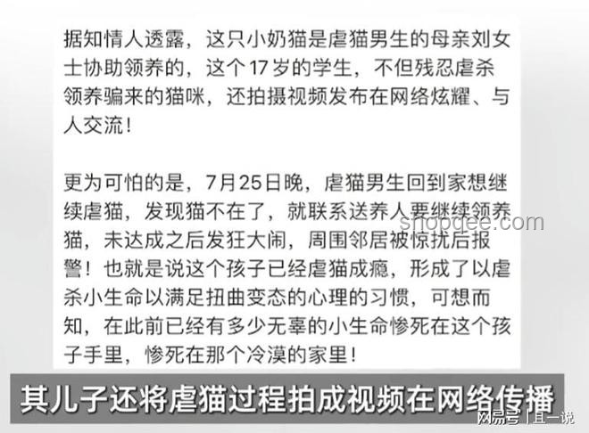 虐貓考生被取消招聘資格：如何避免職場(chǎng)道德爭議