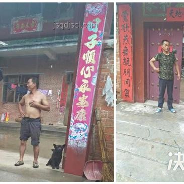 河南西峽極端強(qiáng)降雨應(yīng)對(duì)指南：保障安全，減少損失