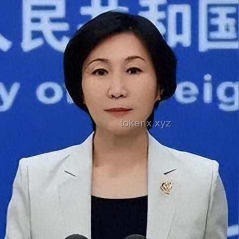 中方嚴(yán)厲發(fā)聲：譴責(zé)襲擊物資分發(fā)點(diǎn)傷害平民的暴行??