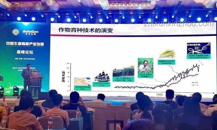 2025高考查分新趨勢：智能化、便捷化與安全保障升級