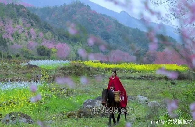 再探李子柒院子VS現(xiàn)代都市生活：生活美學(xué)的遺失與追尋