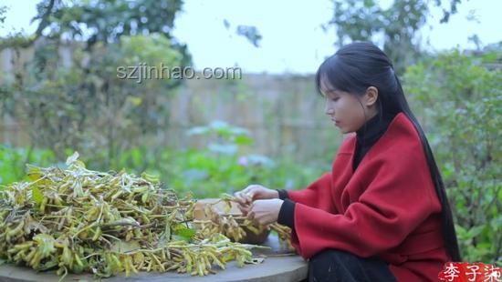 再看李子柒的院子VS現(xiàn)代都市生活：日子過法的深度對比