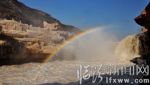 壺口瀑布公驢投訴事件深度剖析：動(dòng)物行為管理與游客體驗(yàn)平衡