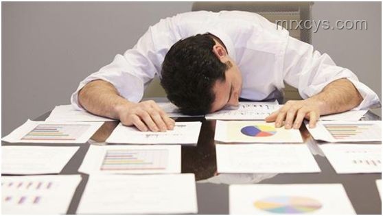 虐貓事件后的職場警醒：誠信與同理心的重要性
