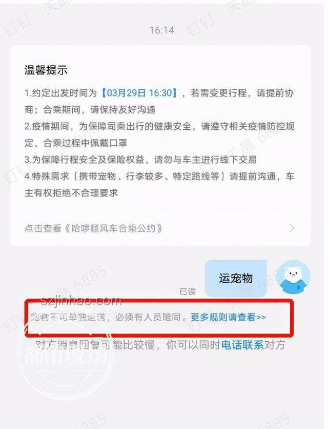 虐貓事件頻發(fā)，未來(lái)招聘資格審查或?qū)⒏厙?yán)格