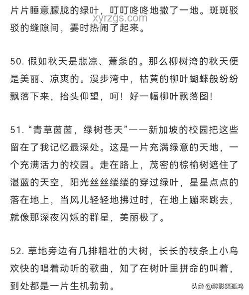 年輕力逃逸？重塑城市魅力，鎖定未來(lái)之心