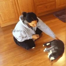 美團「浣熊食堂」：1200家集中式外賣廚房將如何重塑外賣市場競爭格局？