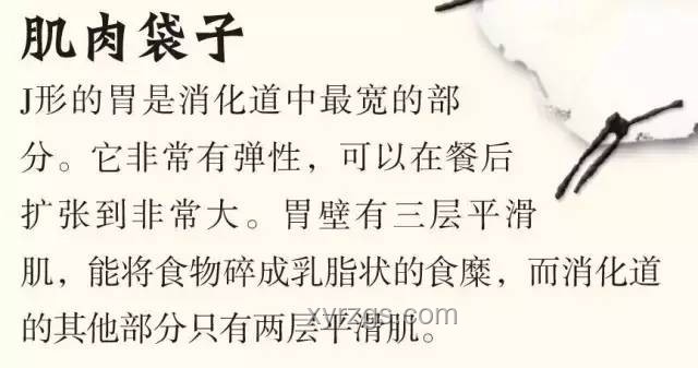 ???歷史上那些憑空消失的地名，你知道幾個？