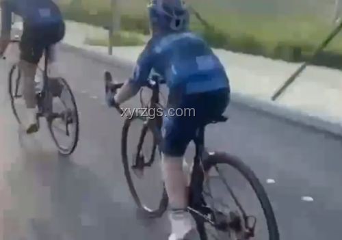 河北男孩騎行身亡案：司機(jī)起訴高德，導(dǎo)航責(zé)任何在？