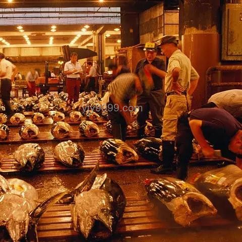 くら壽司大陸發(fā)展困境：兩年虧損8000萬，關(guān)停所有門店案例分析