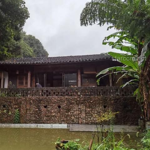 特廚探店指南：解鎖上海食廬餐廳美食秘籍