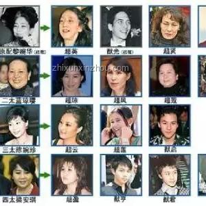 求婚啟示錄：用創(chuàng)新思維點(diǎn)亮愛情新篇章，跨界浪漫