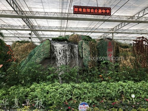 兔兔種田：現(xiàn)代農(nóng)業(yè)創(chuàng)新模式下的田園新實(shí)踐
