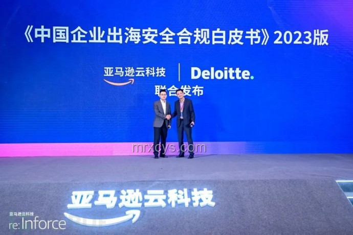 “九條命”企業(yè)的出海韌性：應(yīng)對挑戰(zhàn)與行業(yè)洞察