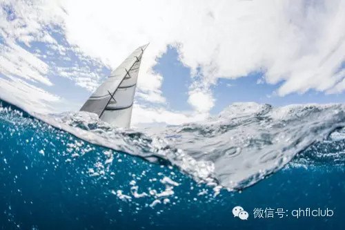 出海遇險，九條命的奇跡與反思