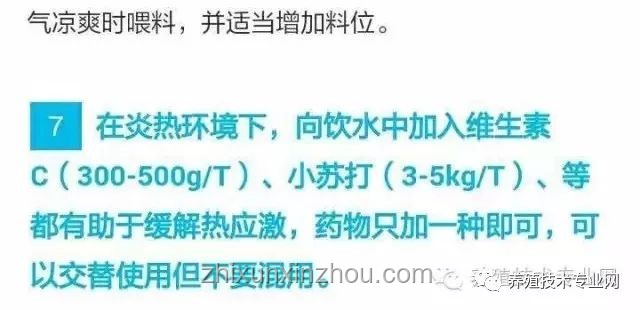 被指魔法：夏日防蚊新思維，跨界玩轉(zhuǎn)“不咬定律”