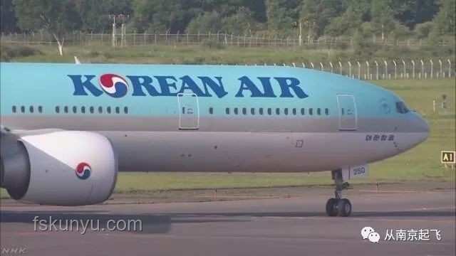 部分航空公司減少赴日航班：出行規(guī)劃與替代方案指南