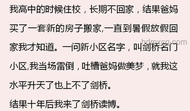 ??2025年那些讓人拍案叫絕的鹽言故事??