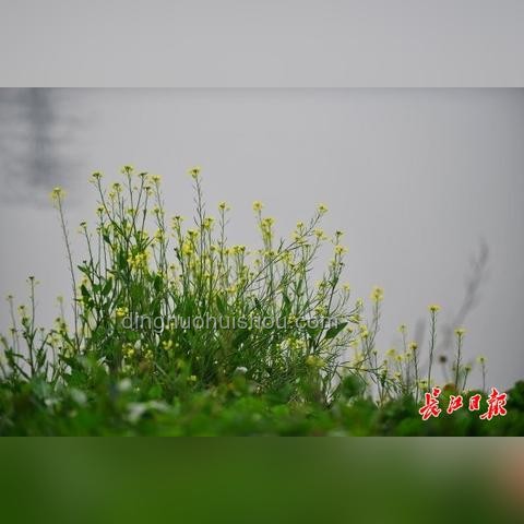武漢真的很熱？北方人去了如何應(yīng)對(duì)？