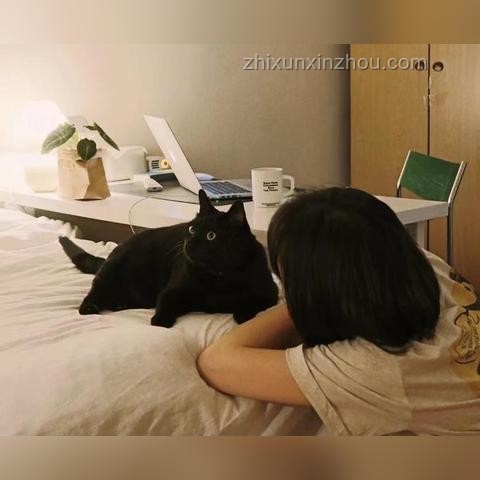 獨居老人網購成癮：花費200萬睡在快遞堆的深度分析