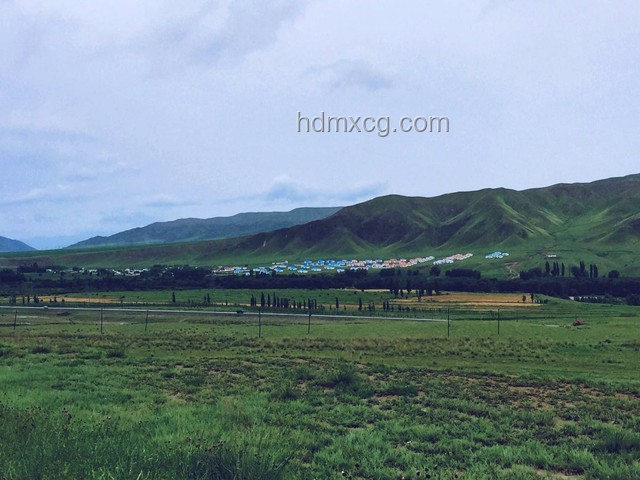 獨(dú)庫公路逆行囂張認(rèn)罰：未來交通違規(guī)懲治趨勢(shì)預(yù)測(cè)