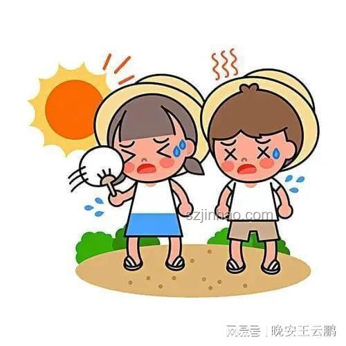 夏天防暑降溫指南：應(yīng)對極端高溫，保護寵物鳥不中暑